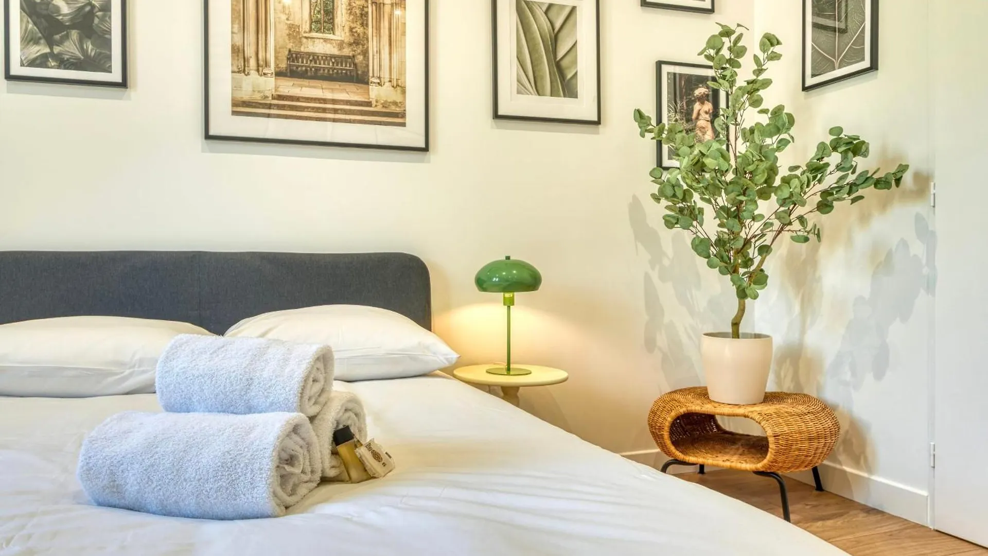 Le Basalte - Confortable Studio Avec Parking Prive Oullins Apartment
